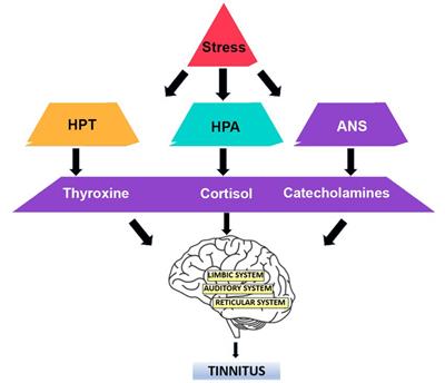 The association between stress, emotional states, and tinnitus: a mini-review